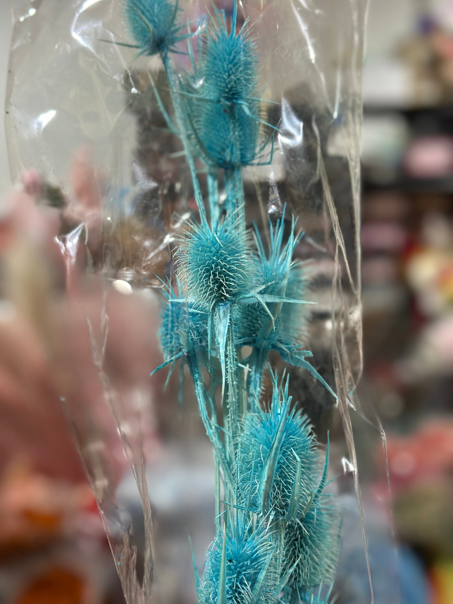 Teasels (Spray Heads)