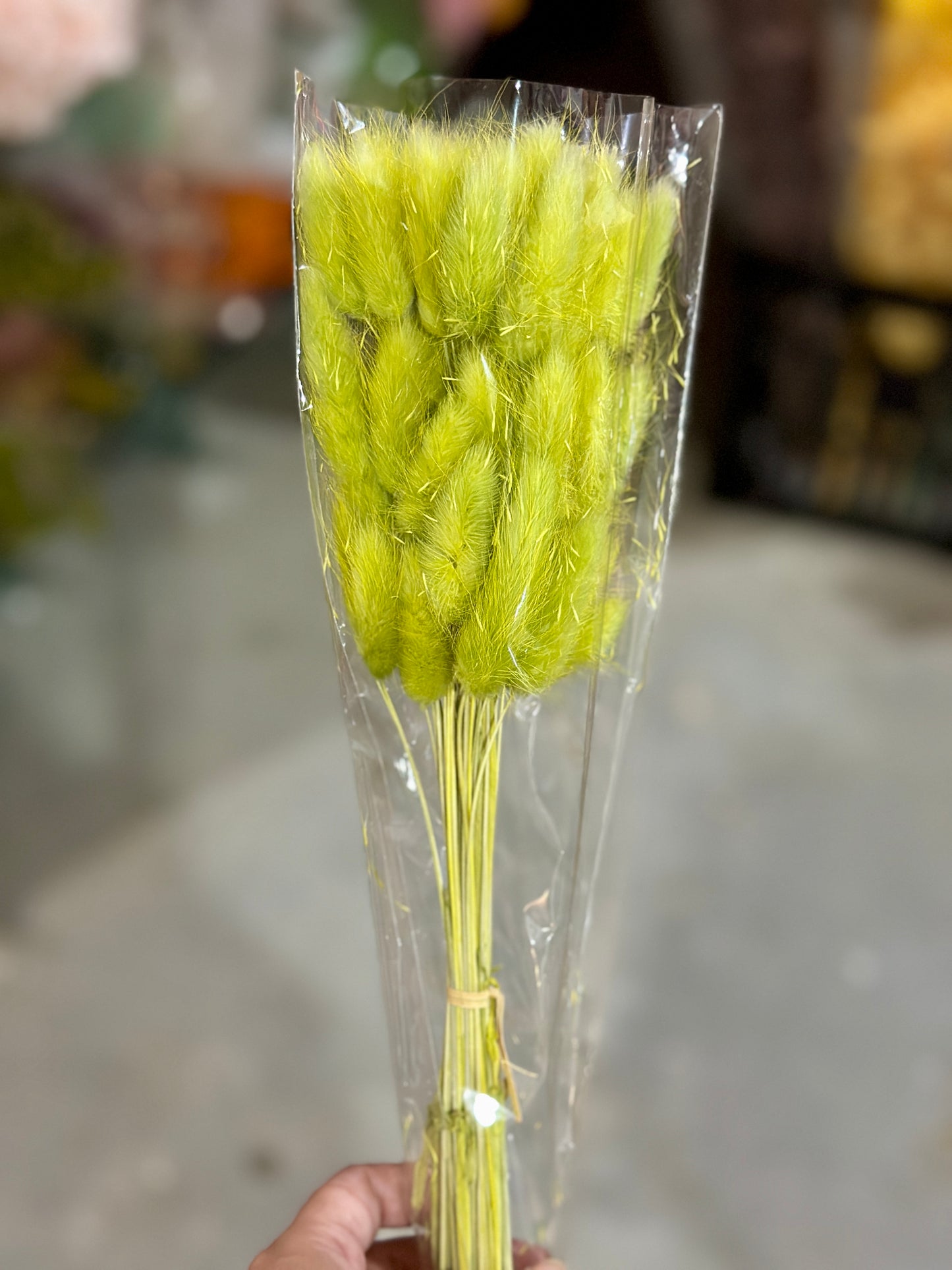 Bunny Tails