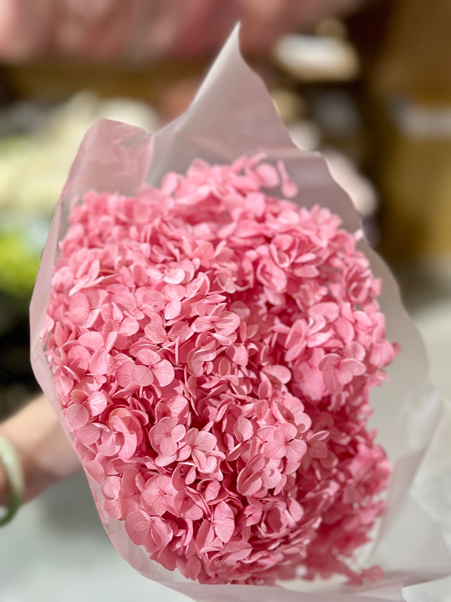 Anna Hydrangeas Big Bunch
