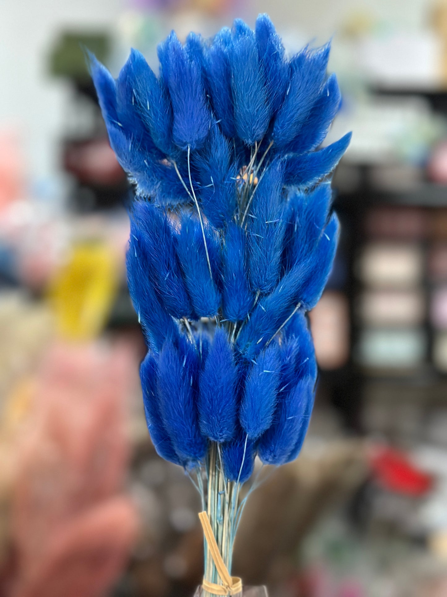 Bunny Tails
