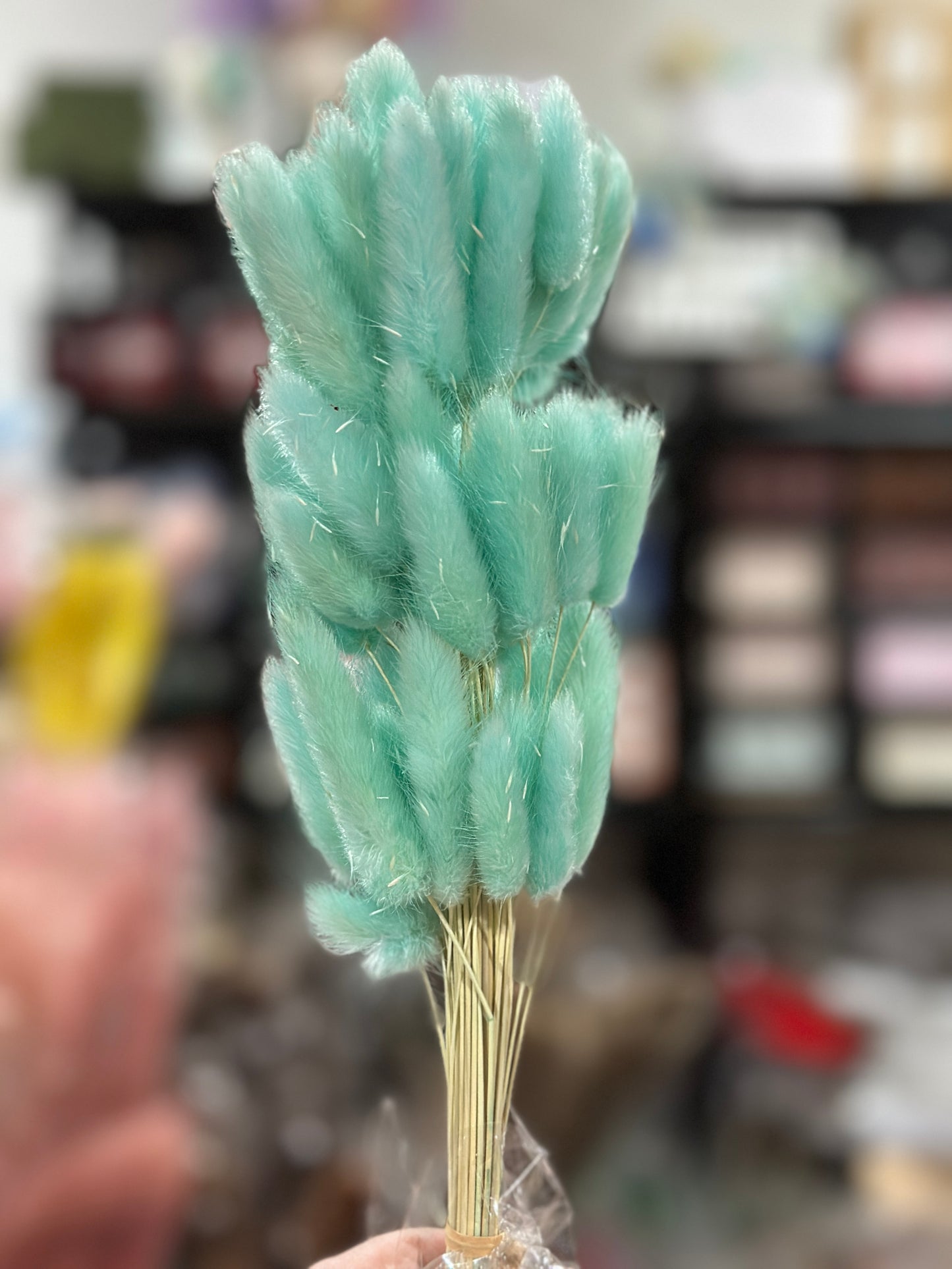 Bunny Tails