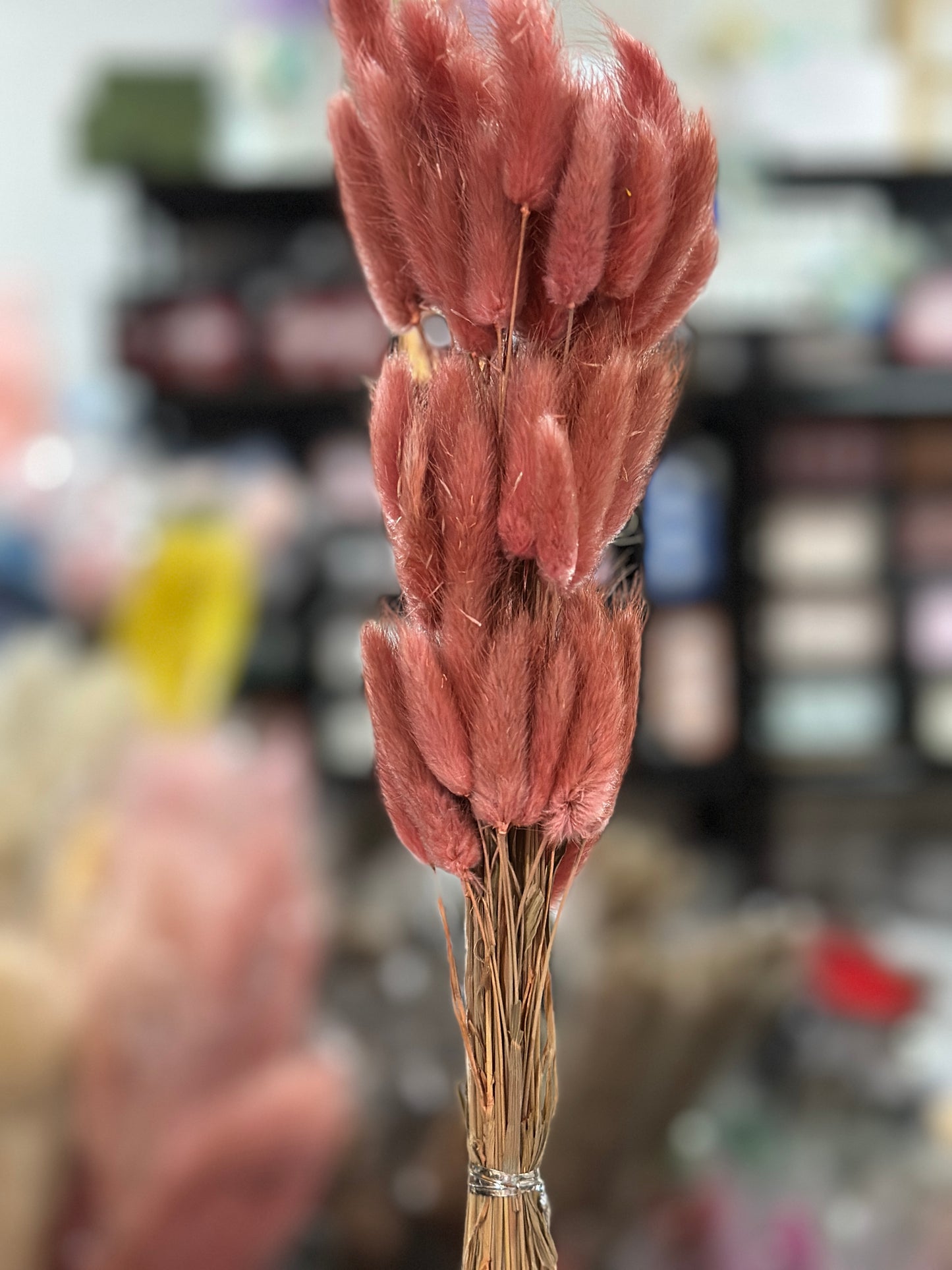 Bunny Tails