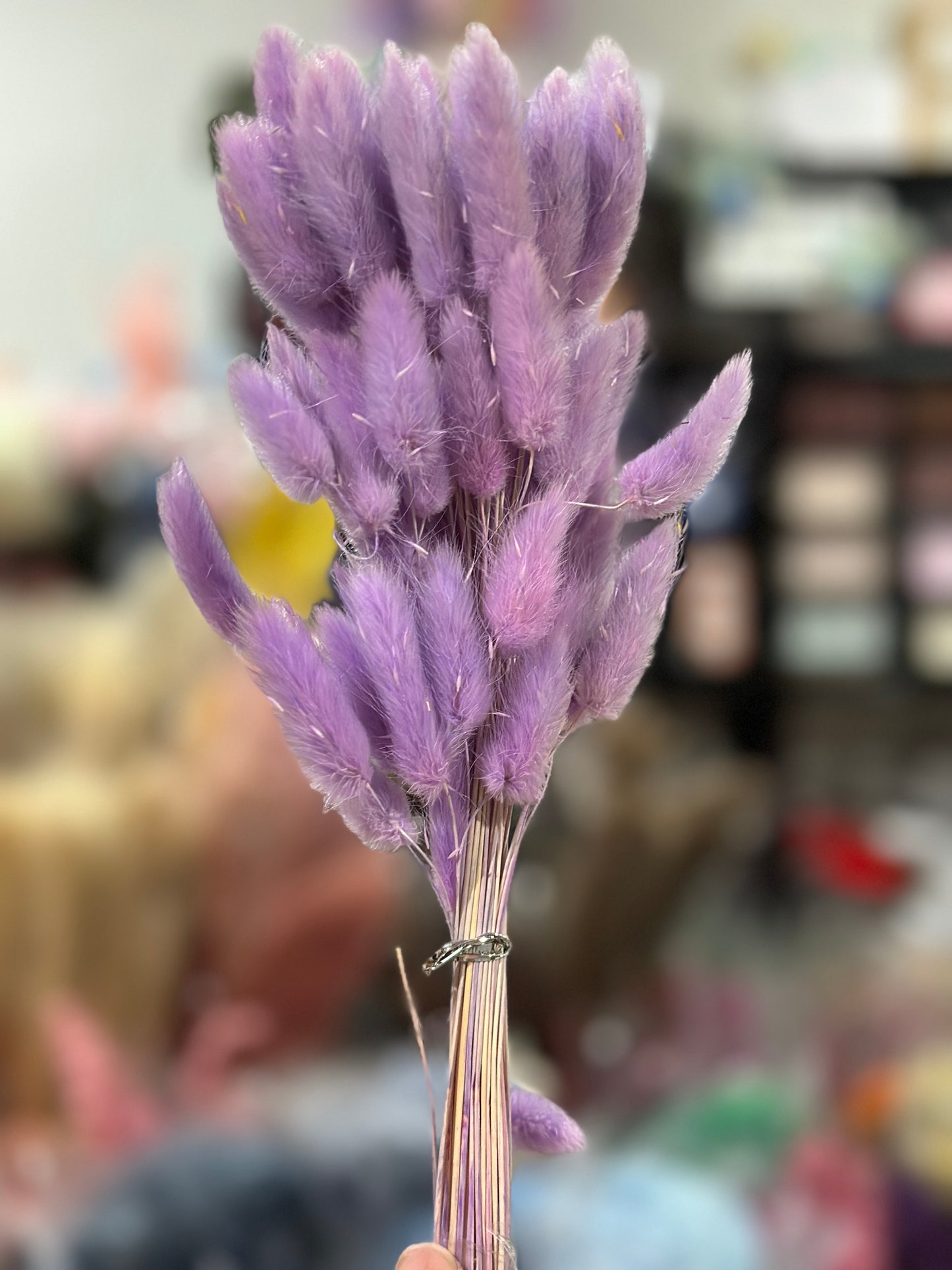Bunny Tails