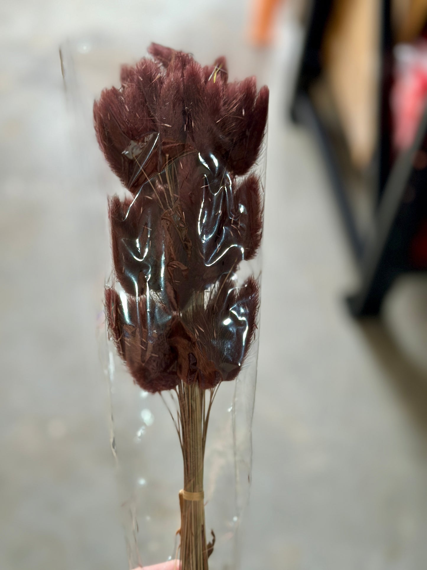 Bunny Tails