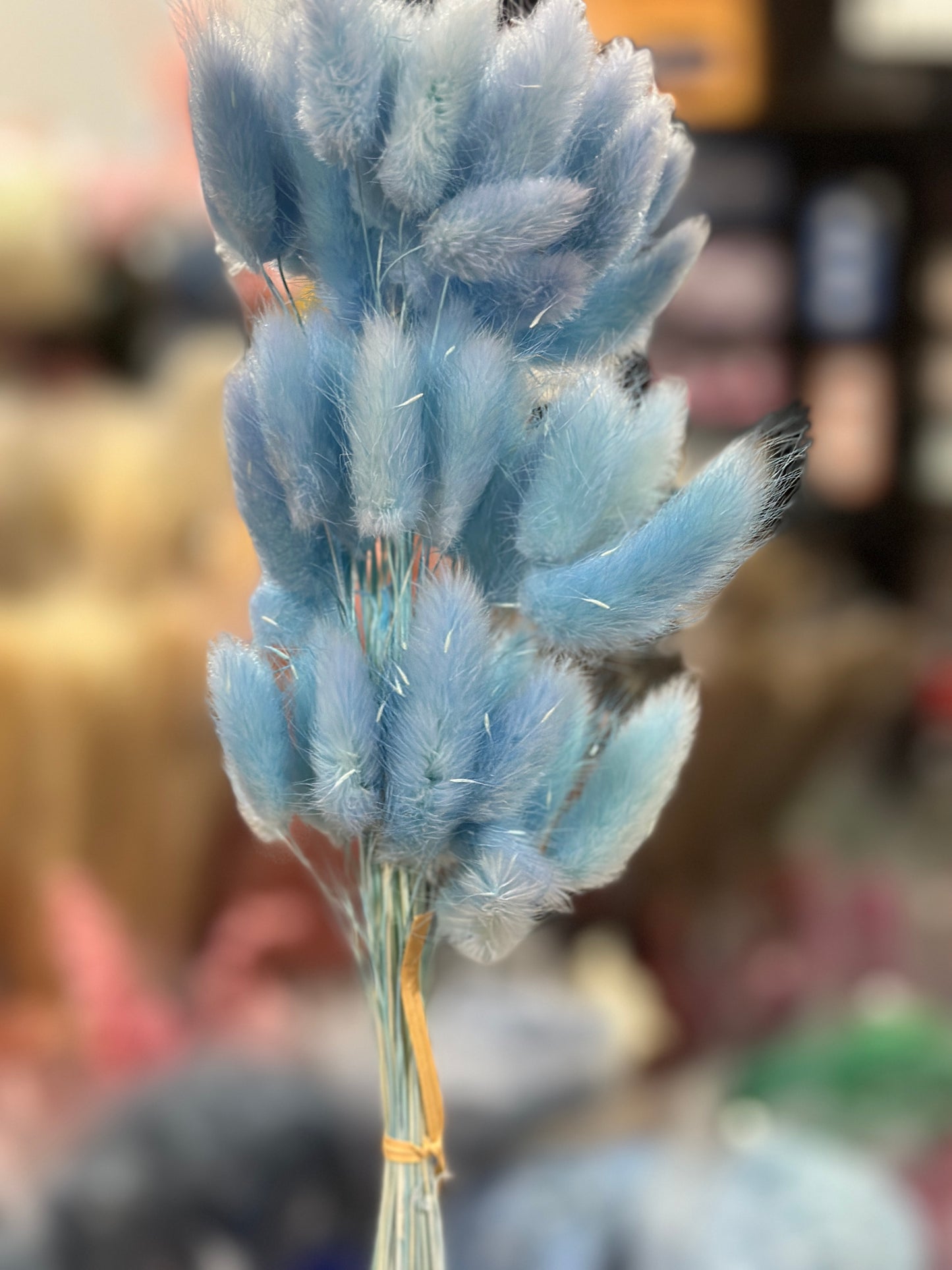 Bunny Tails