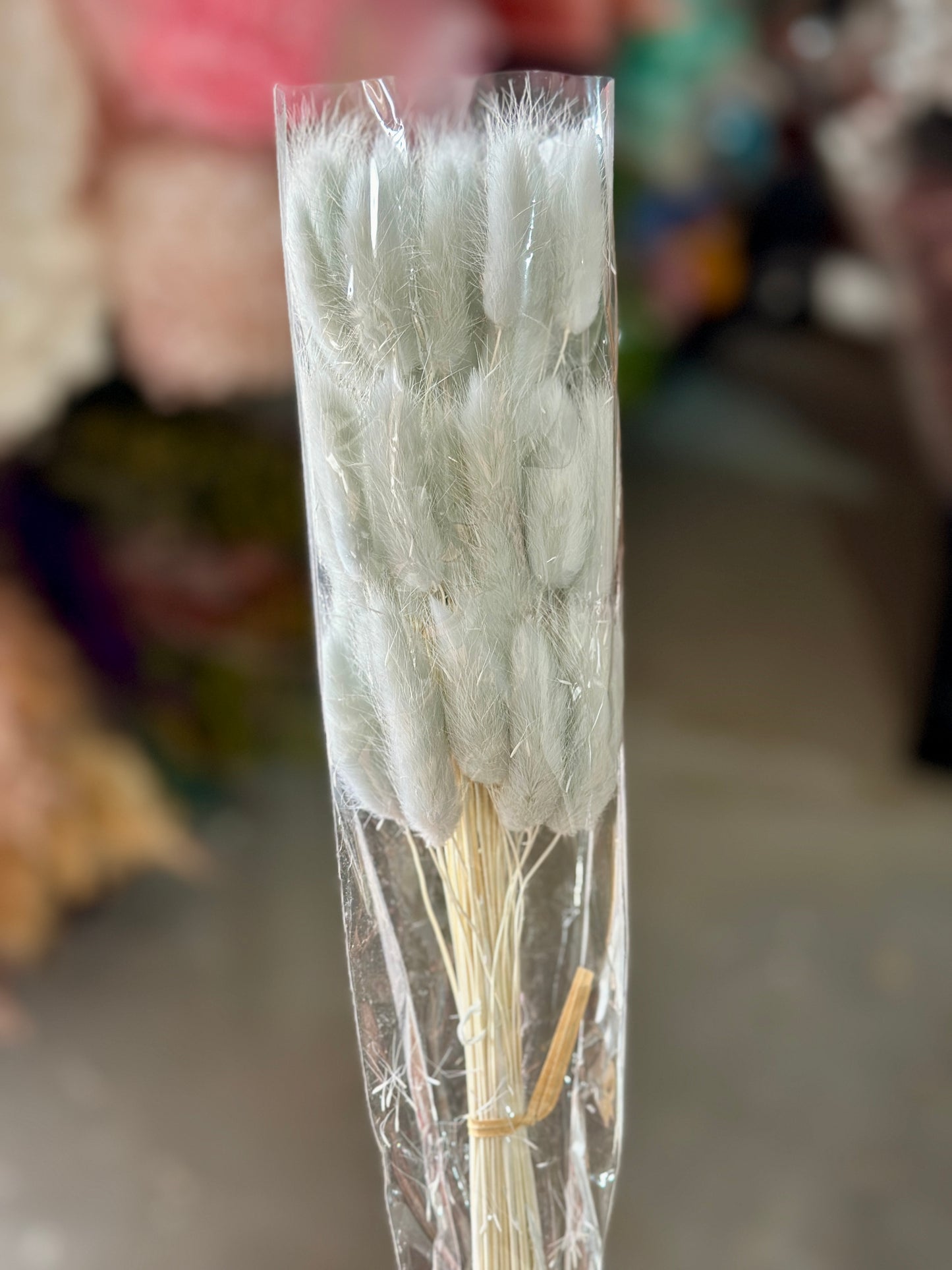 Bunny Tails
