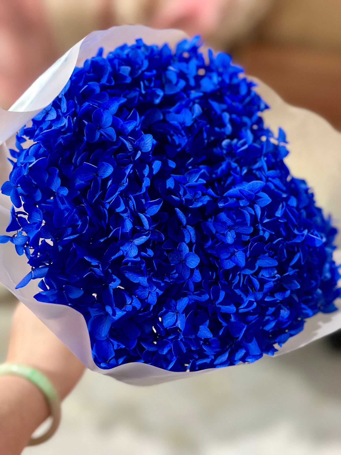 Anna Hydrangeas Big Bunch