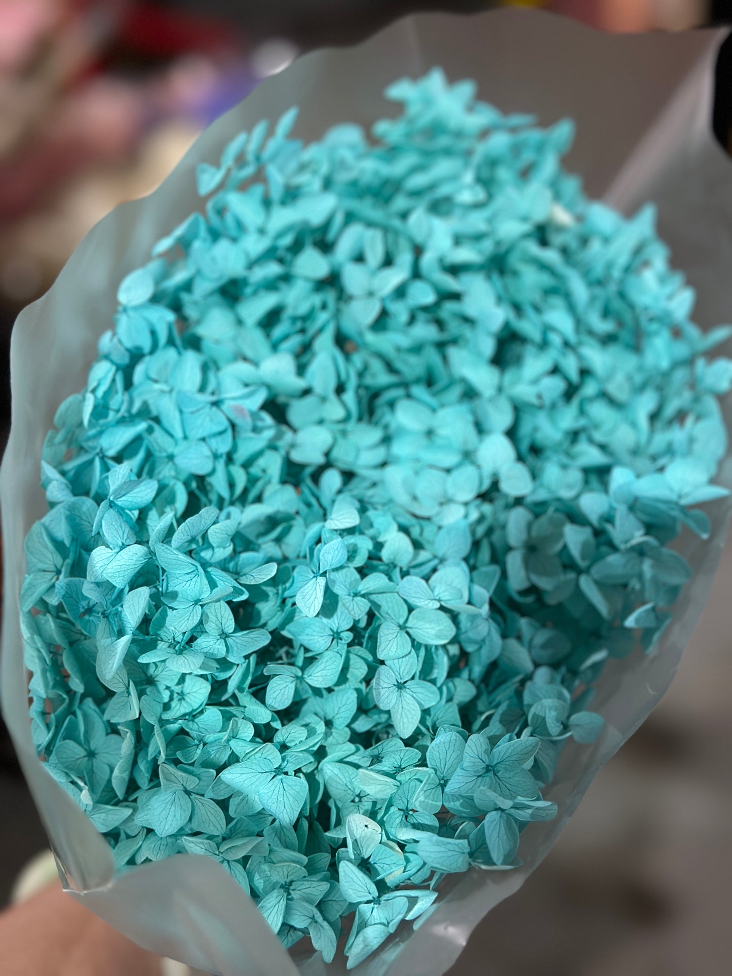 Anna Hydrangeas Big Bunch
