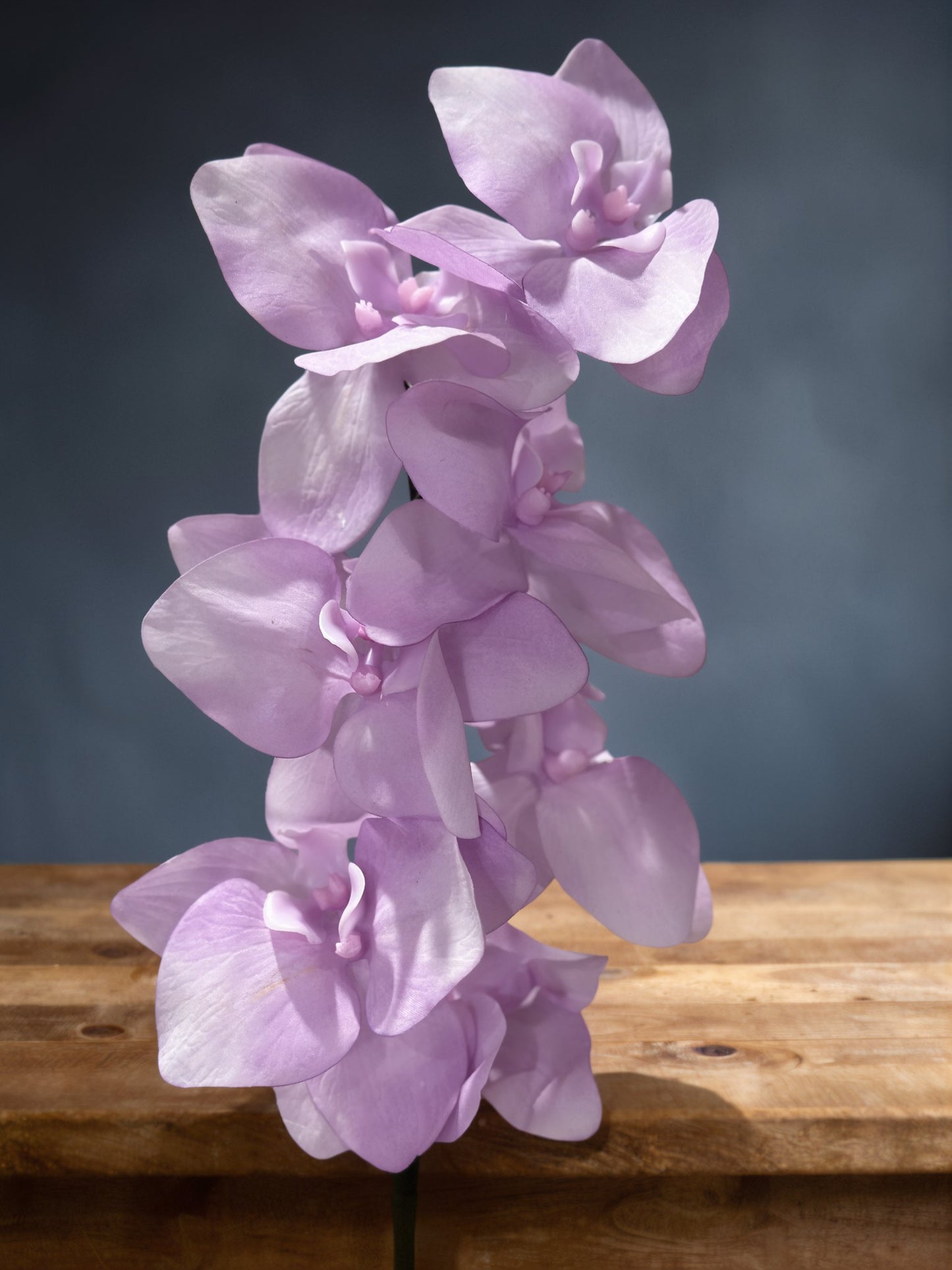 High Quality Real Touch Orchids