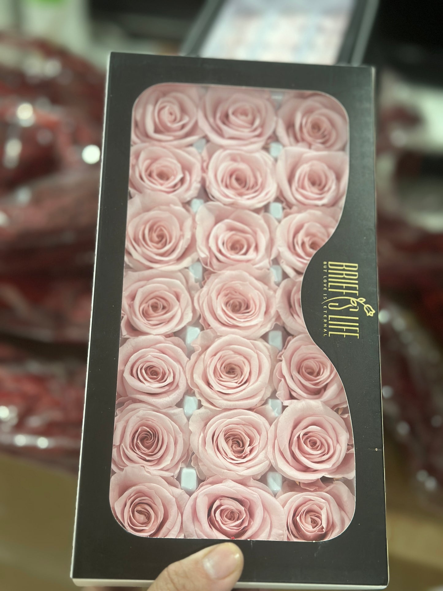 Preserved Roses - 21 pieces