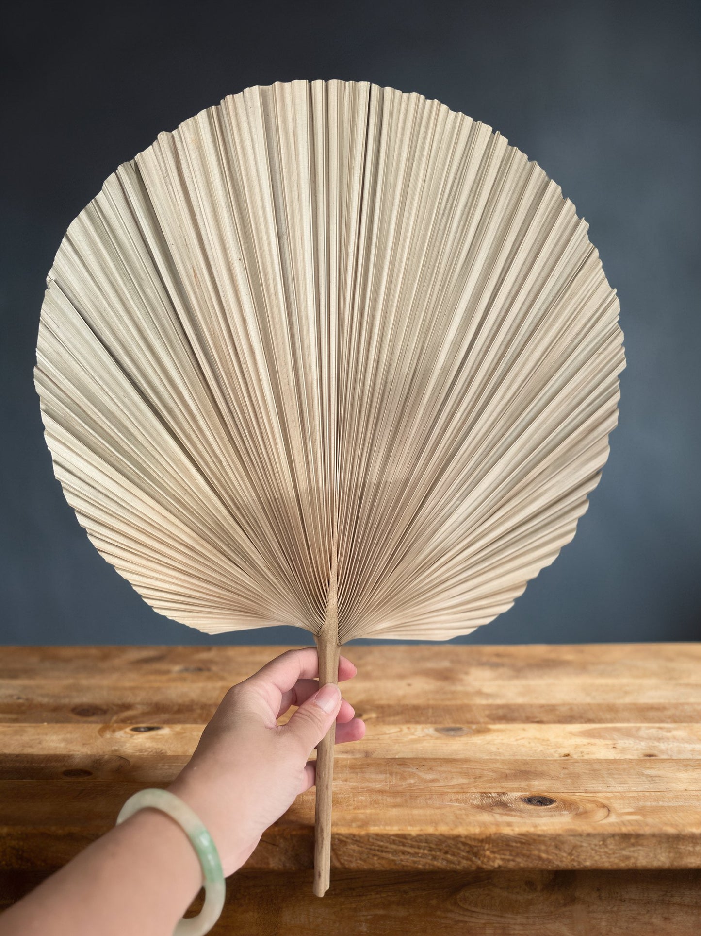 Natural Palm Leaves