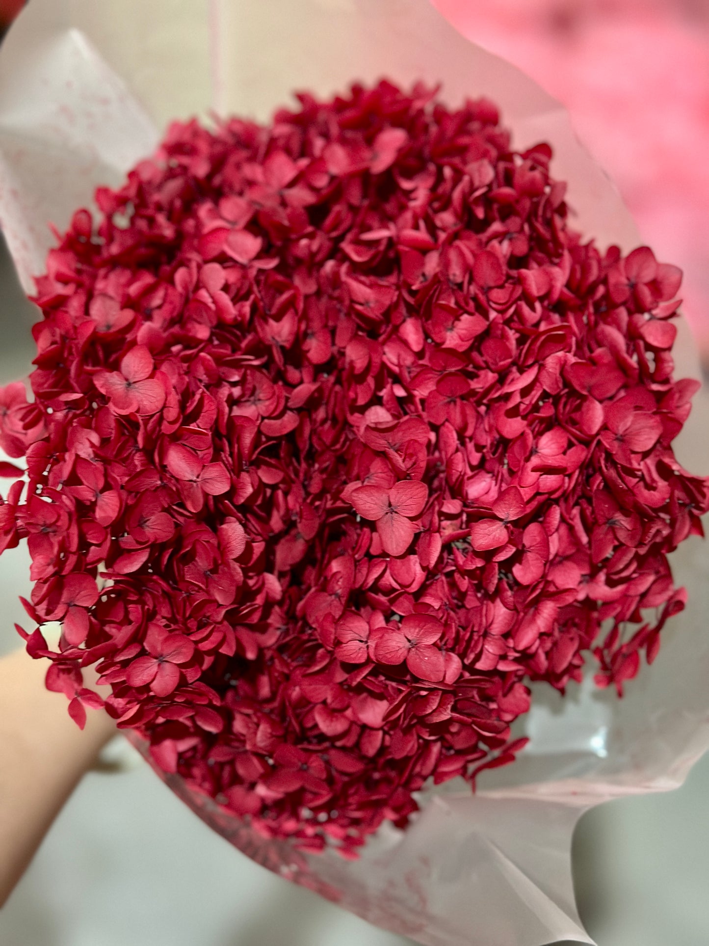 Anna Hydrangeas Big Bunch