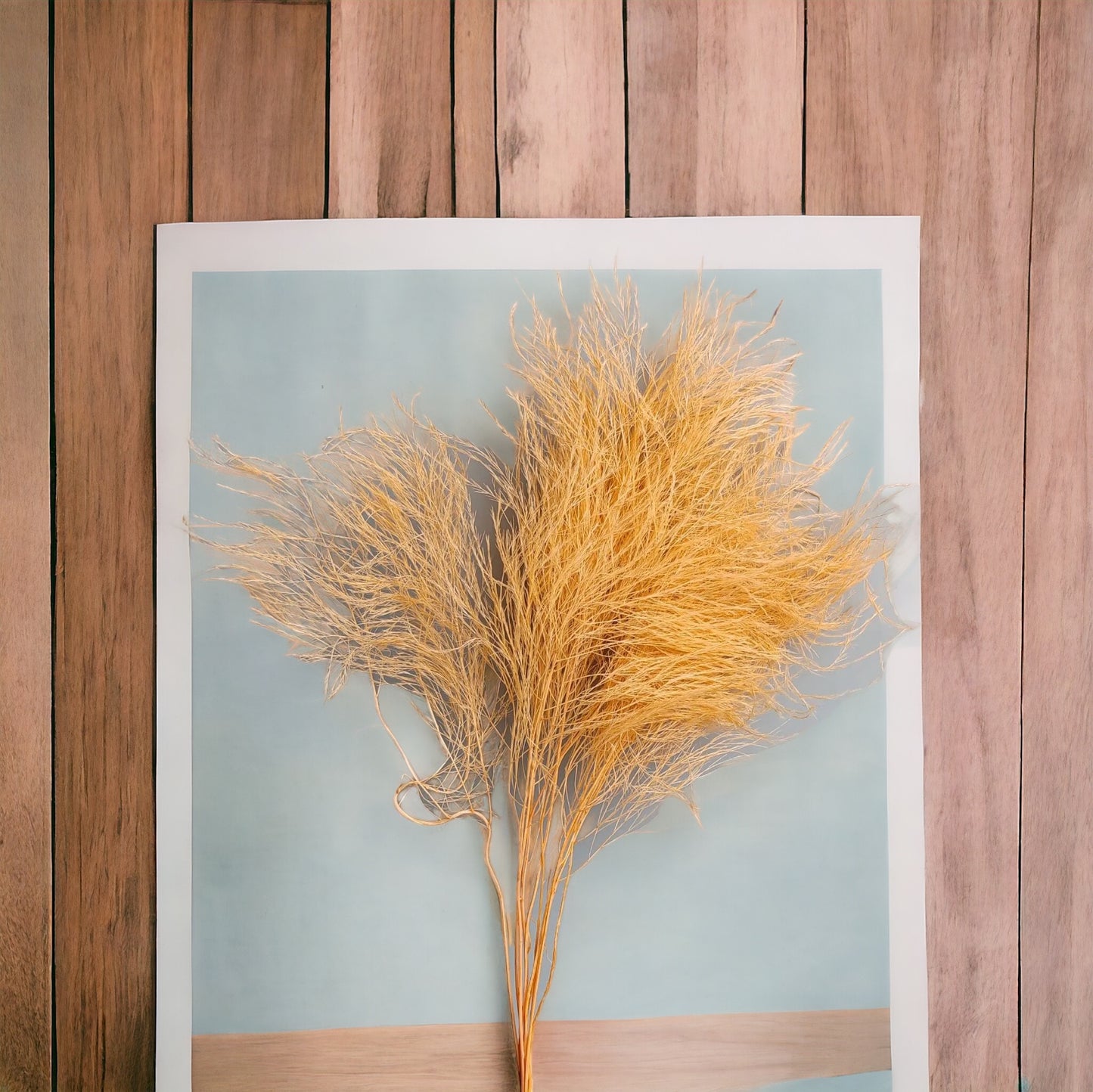 Tiki Fern / Stone Grass