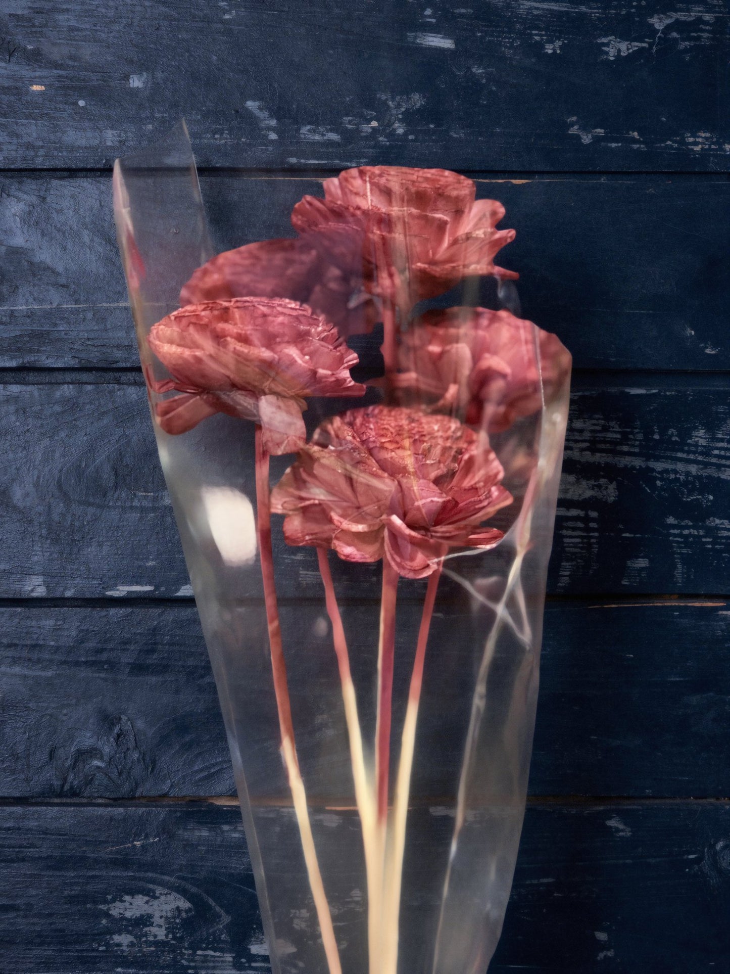 Sola Wood Flowers - Price per stem