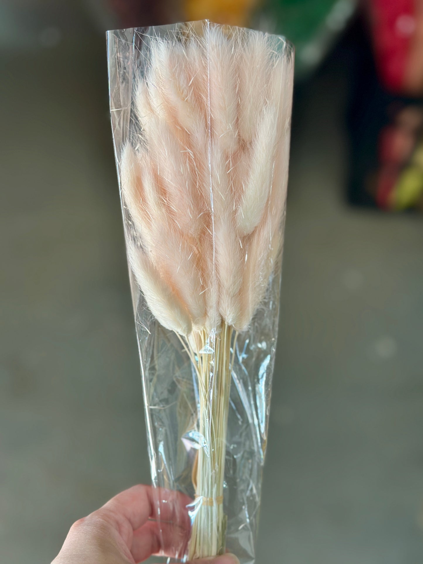 Bunny Tails
