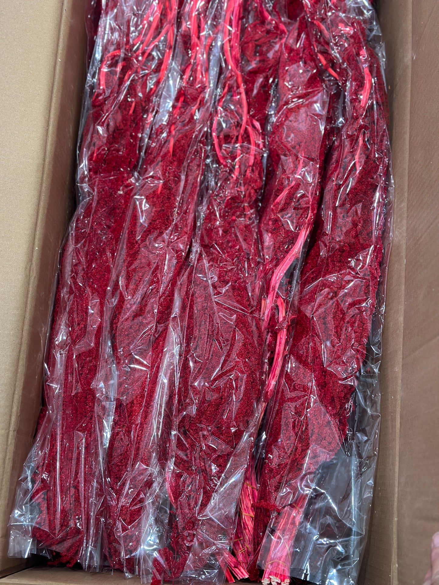 Amaranthus