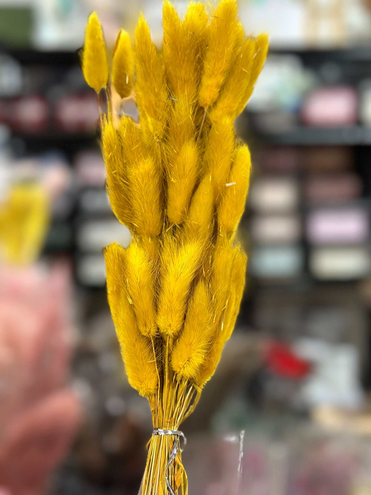 Bunny Tails
