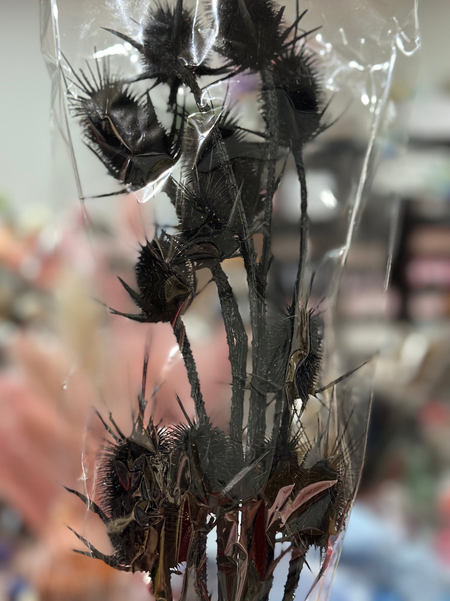 Teasels (Spray Heads)