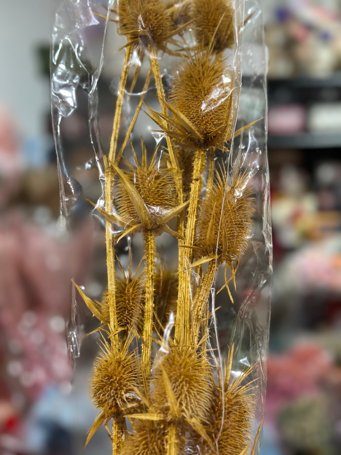 Teasels (Spray Heads)