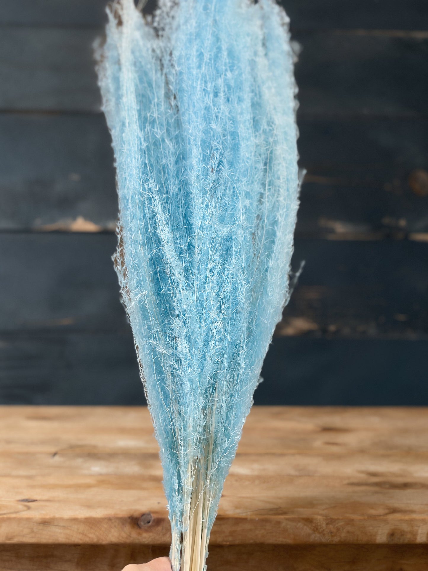 Horsetails/ Whisk