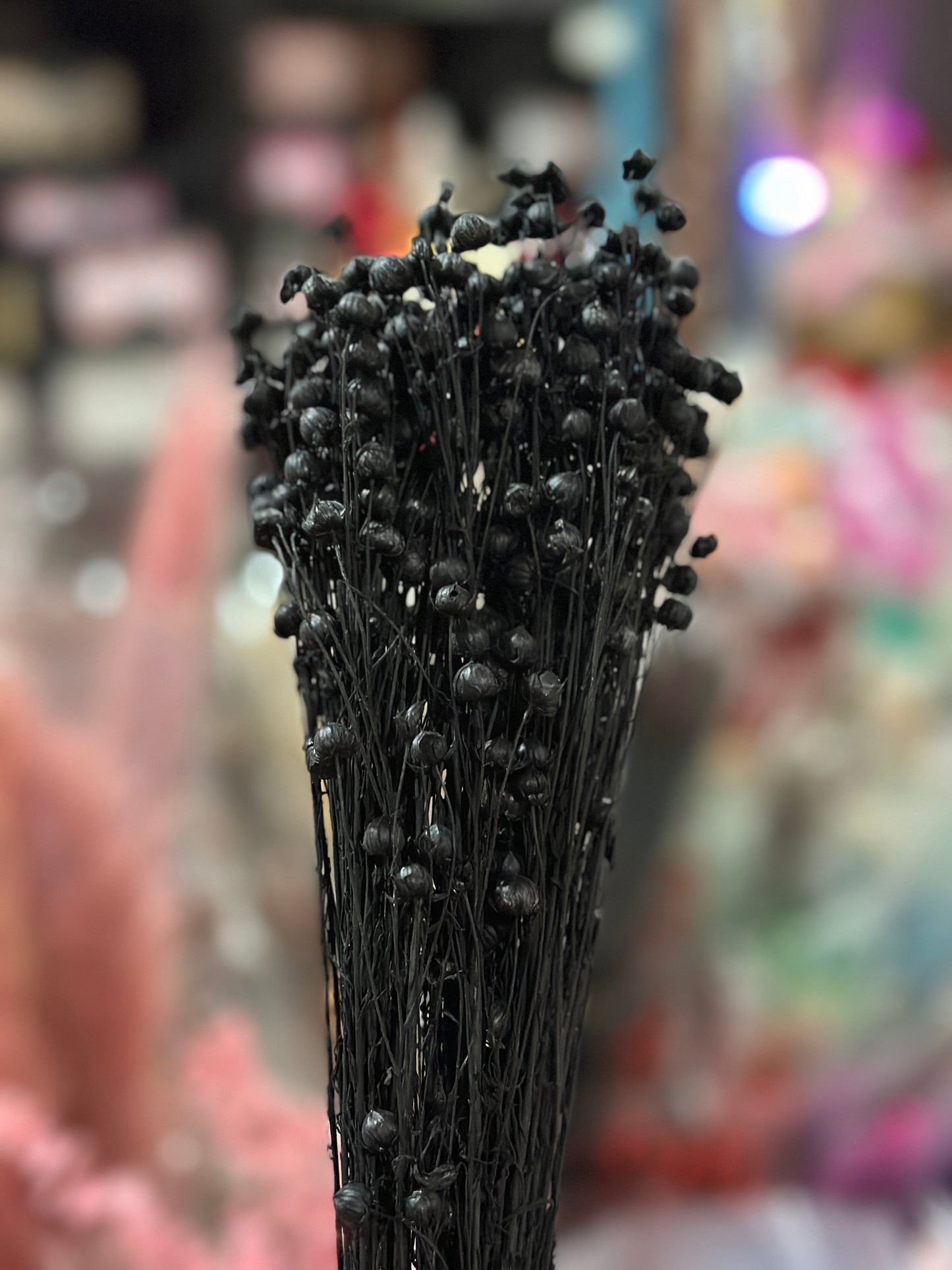 Preserved Flowers Rich Bean