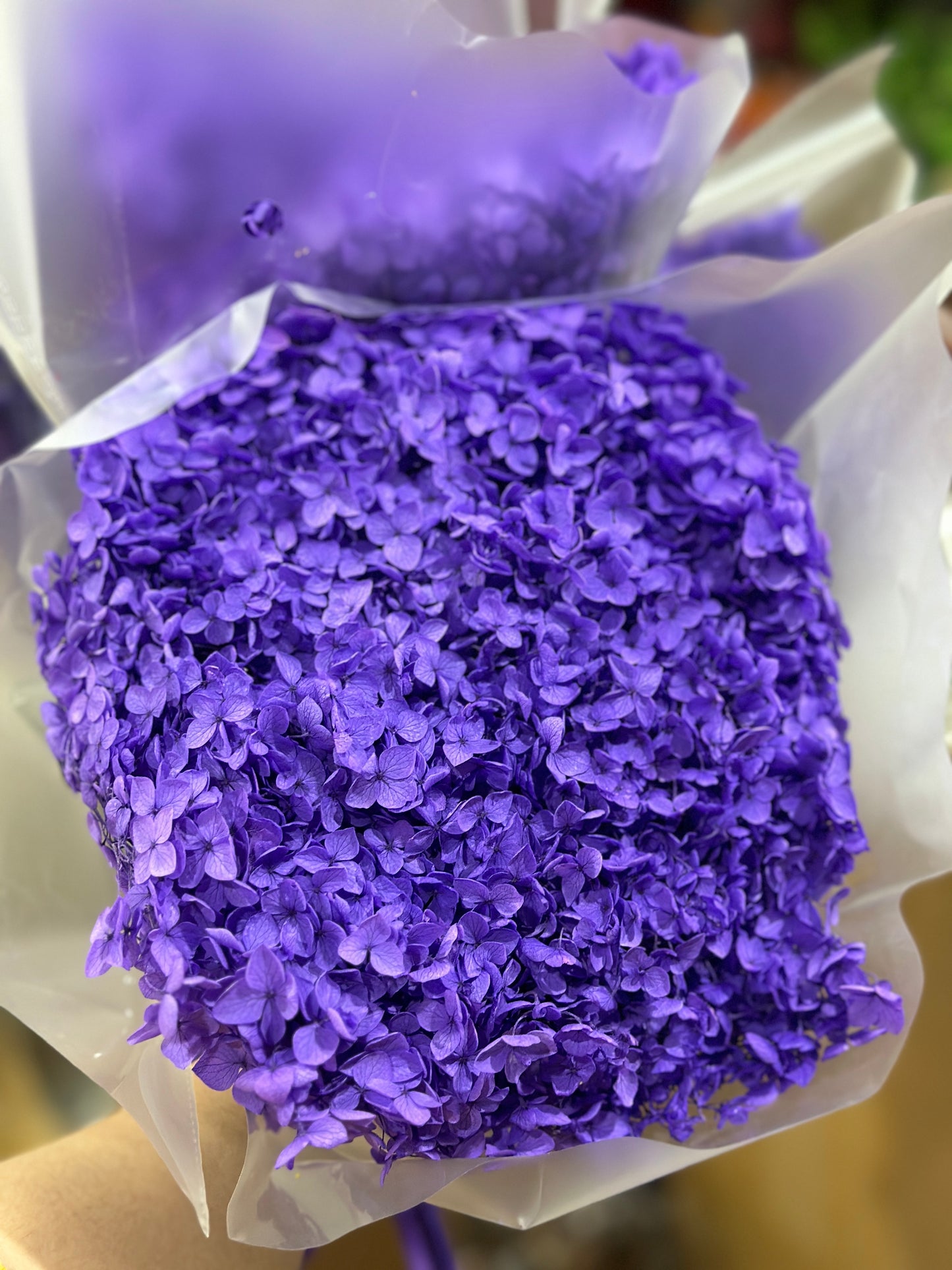 Anna Hydrangeas Big Bunch