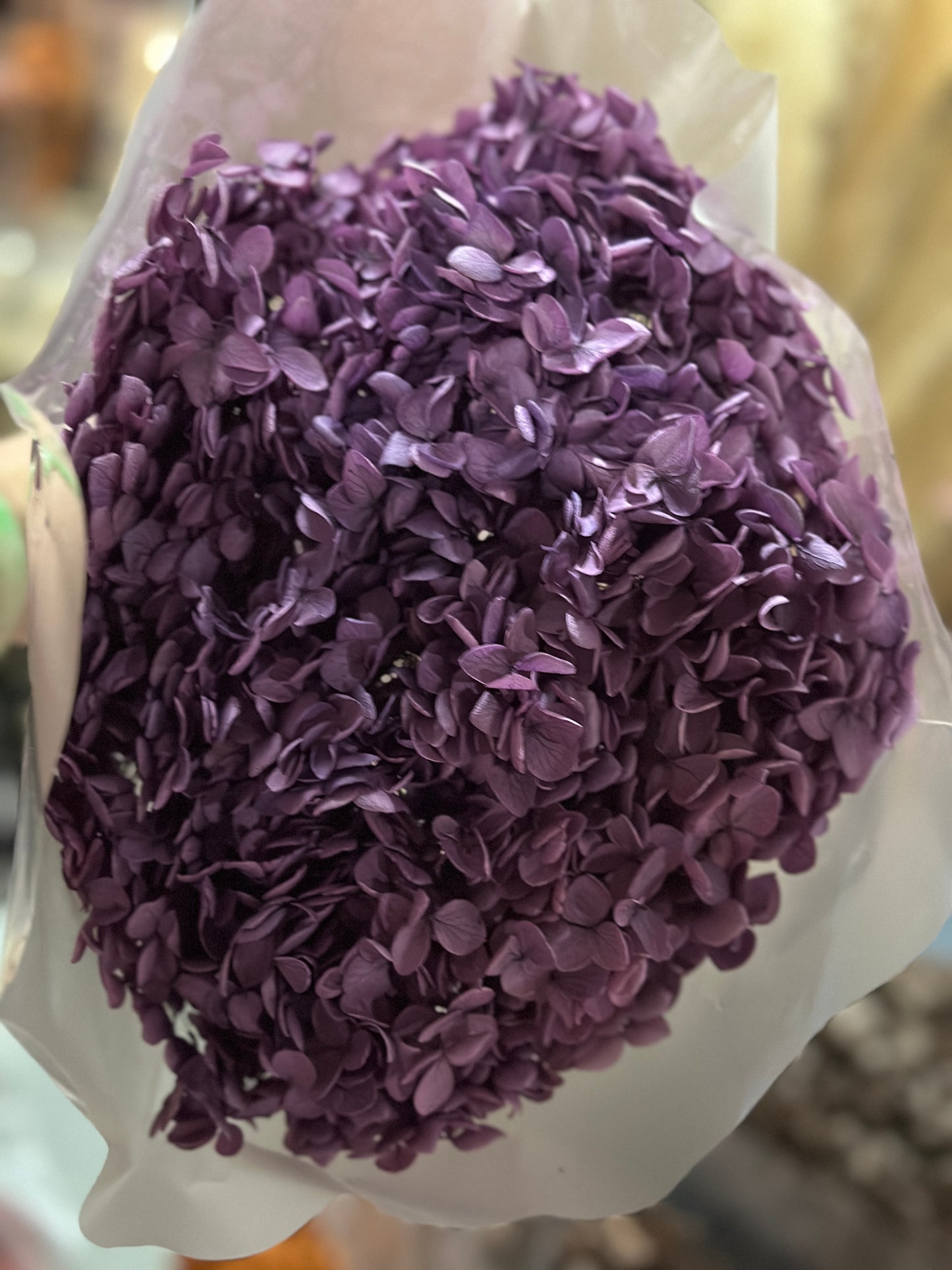 Anna Hydrangeas Big Bunch