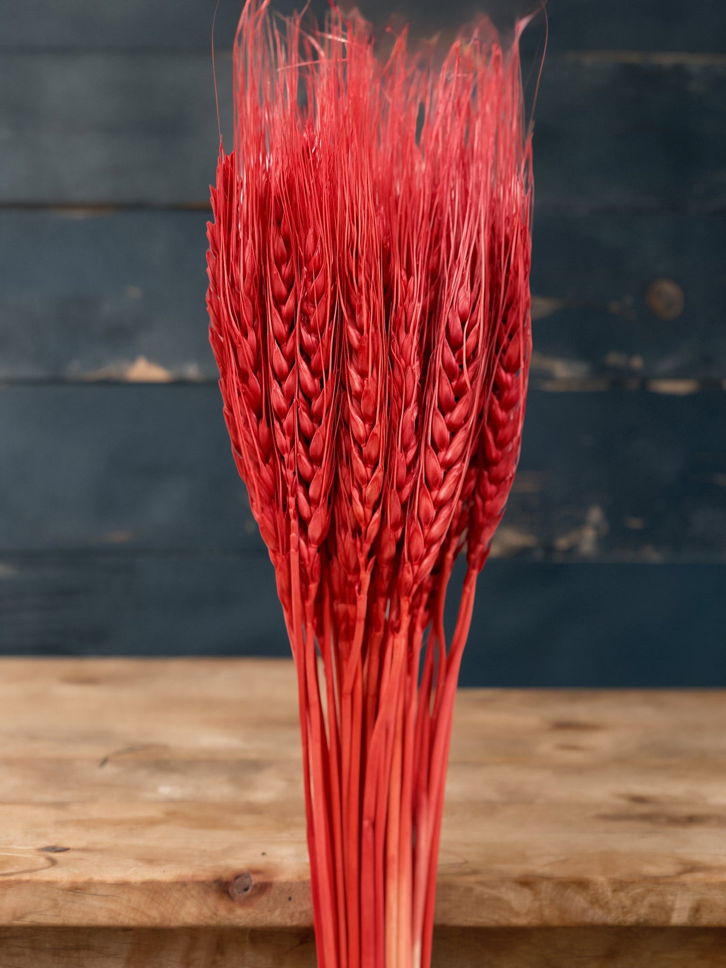 Dried Wheat