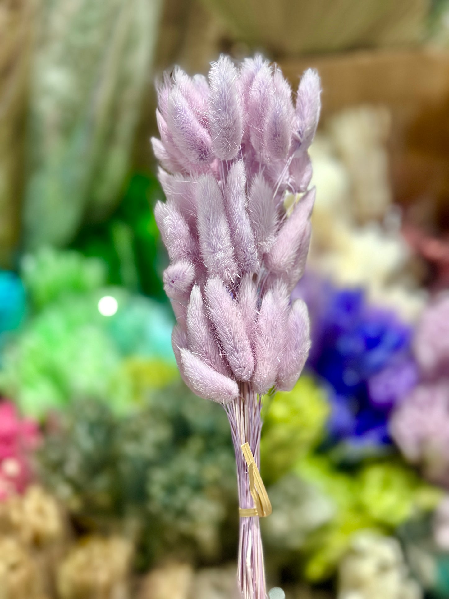 Bunny Tails