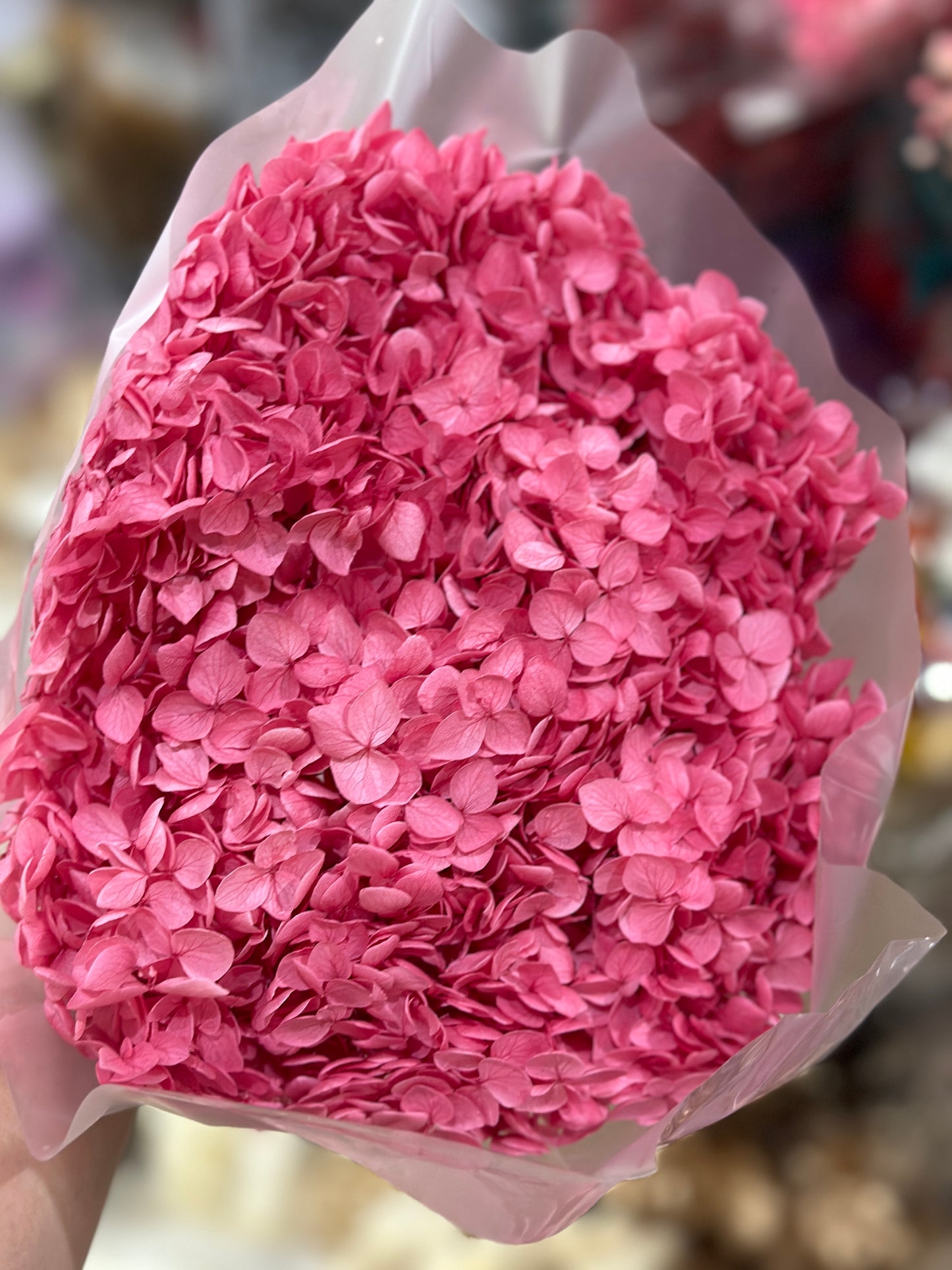 Anna Hydrangeas Big Bunch