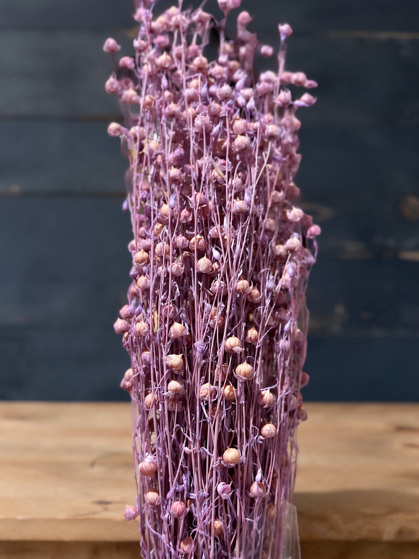 Preserved Flowers Rich Bean