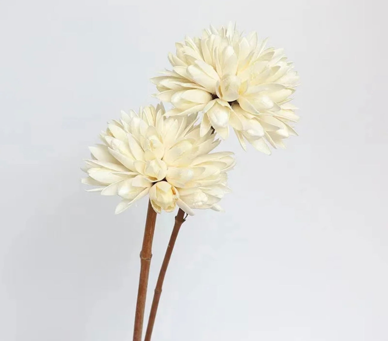 Handmade Magnolia Ball