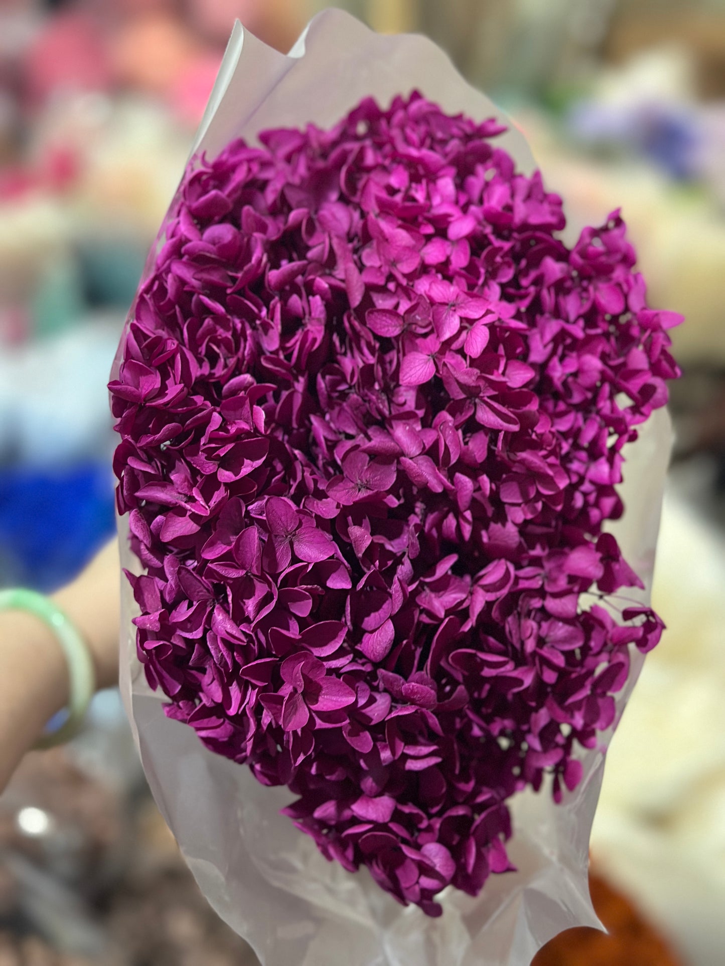 Anna Hydrangeas Big Bunch
