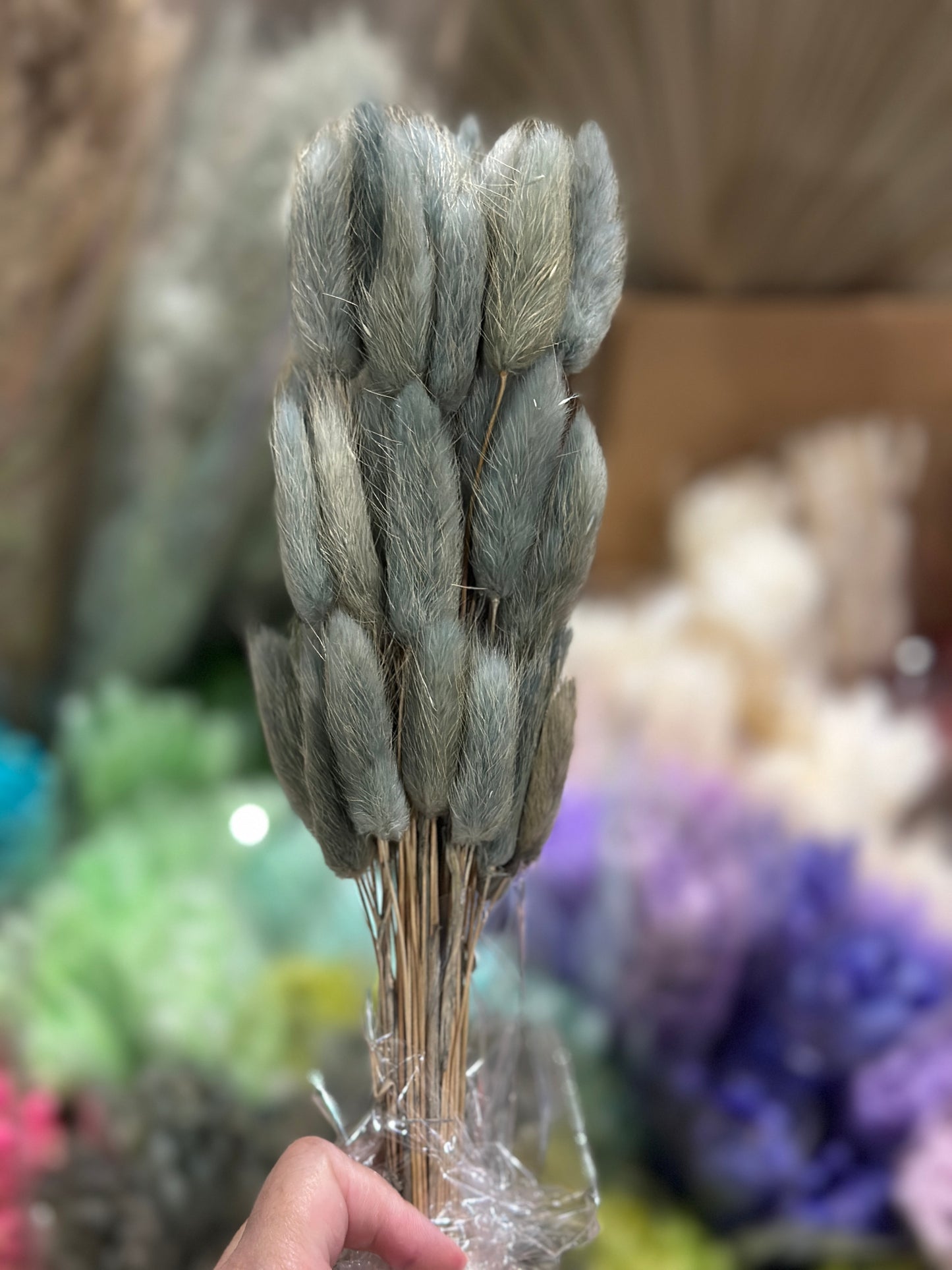 Bunny Tails