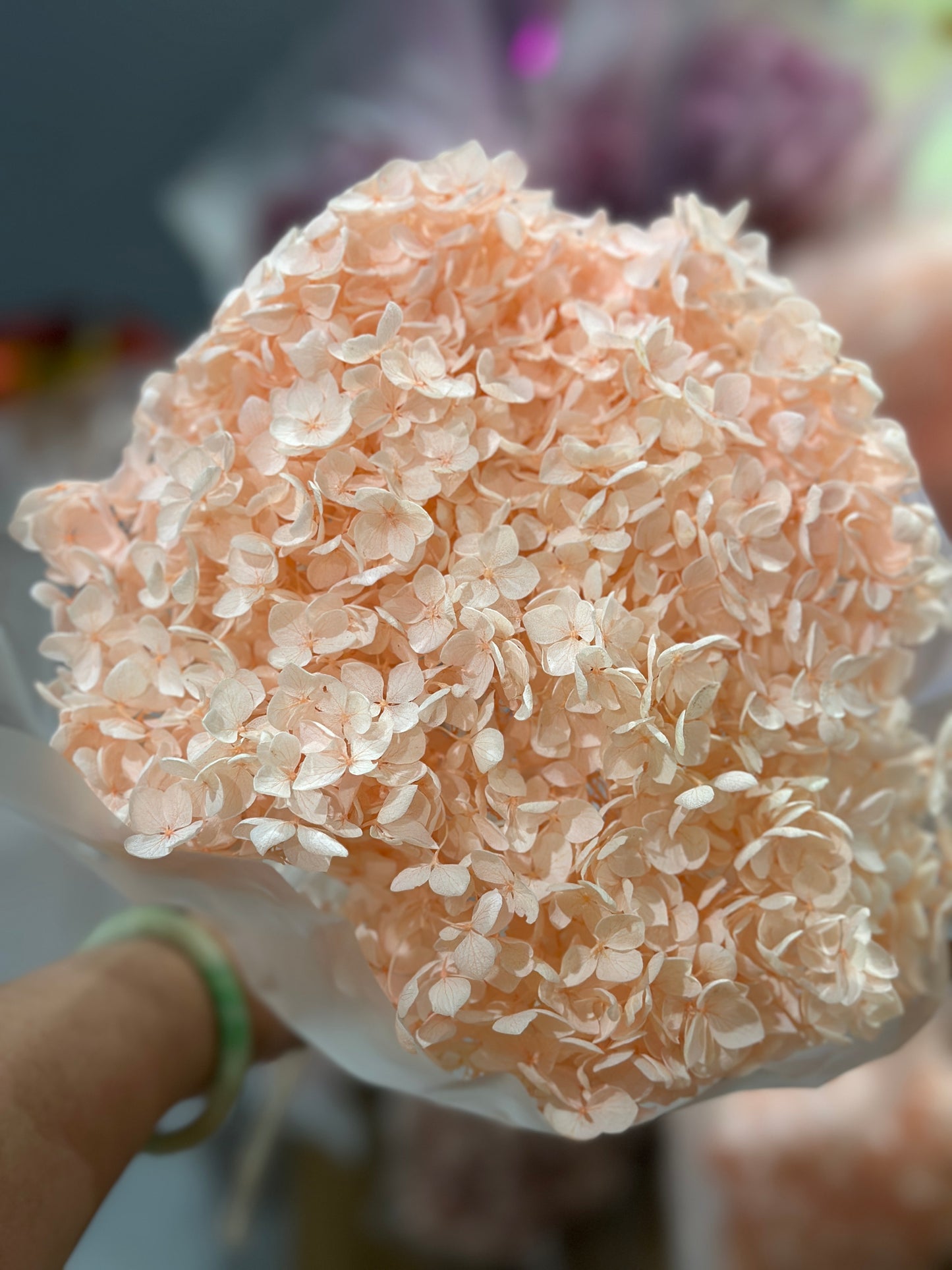 Anna Hydrangeas Big Bunch