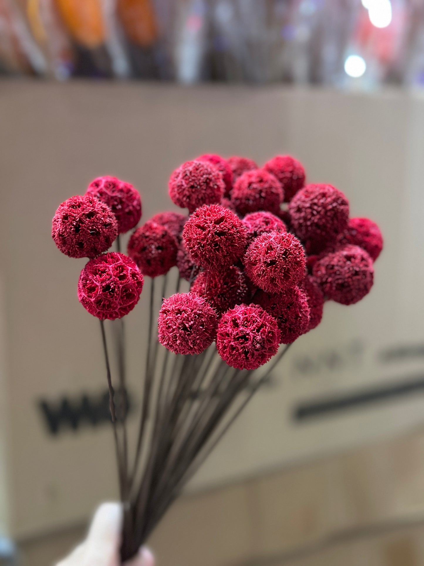 Maple Balls - 10pieces/pack