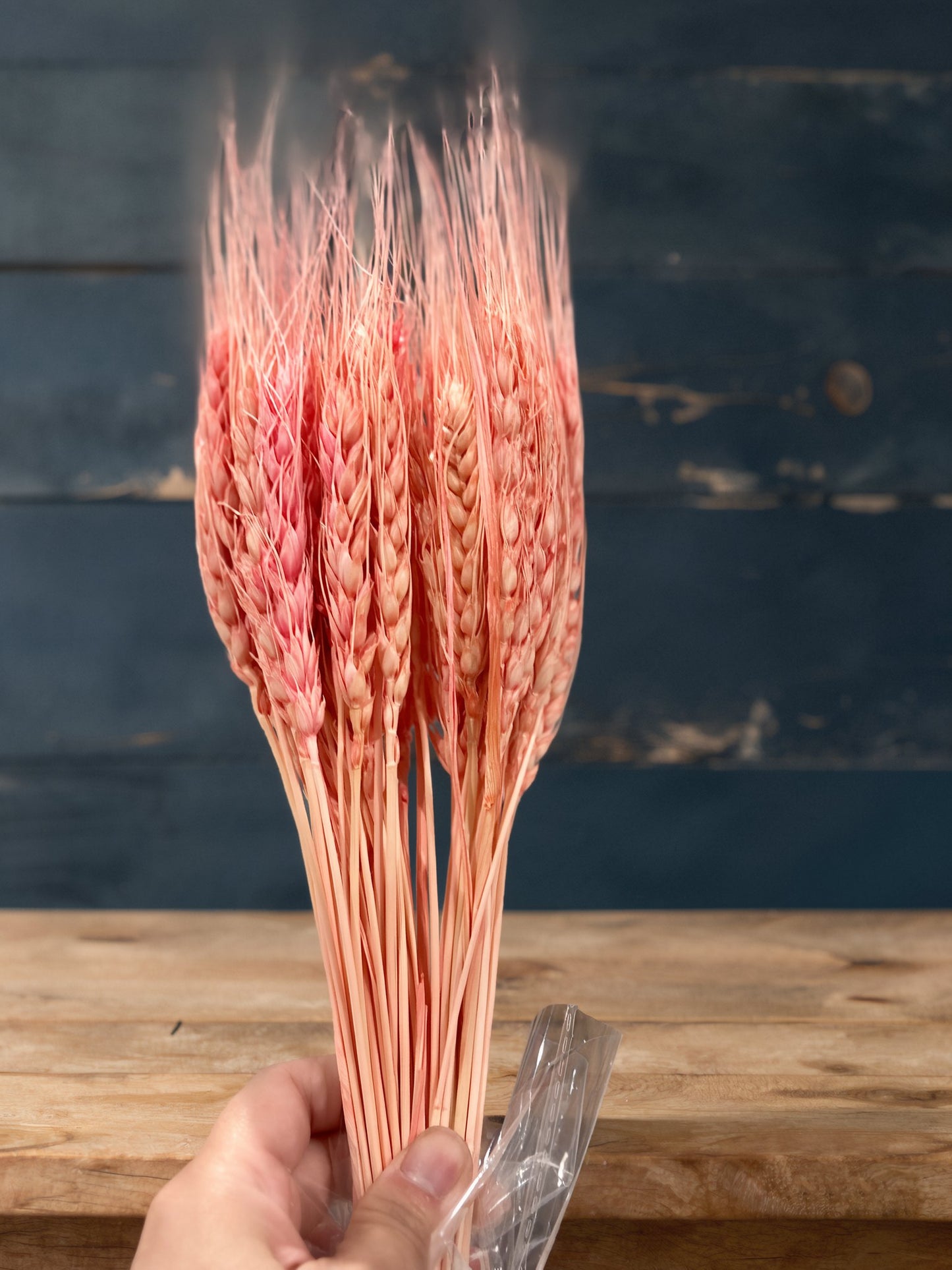 Dried Wheat