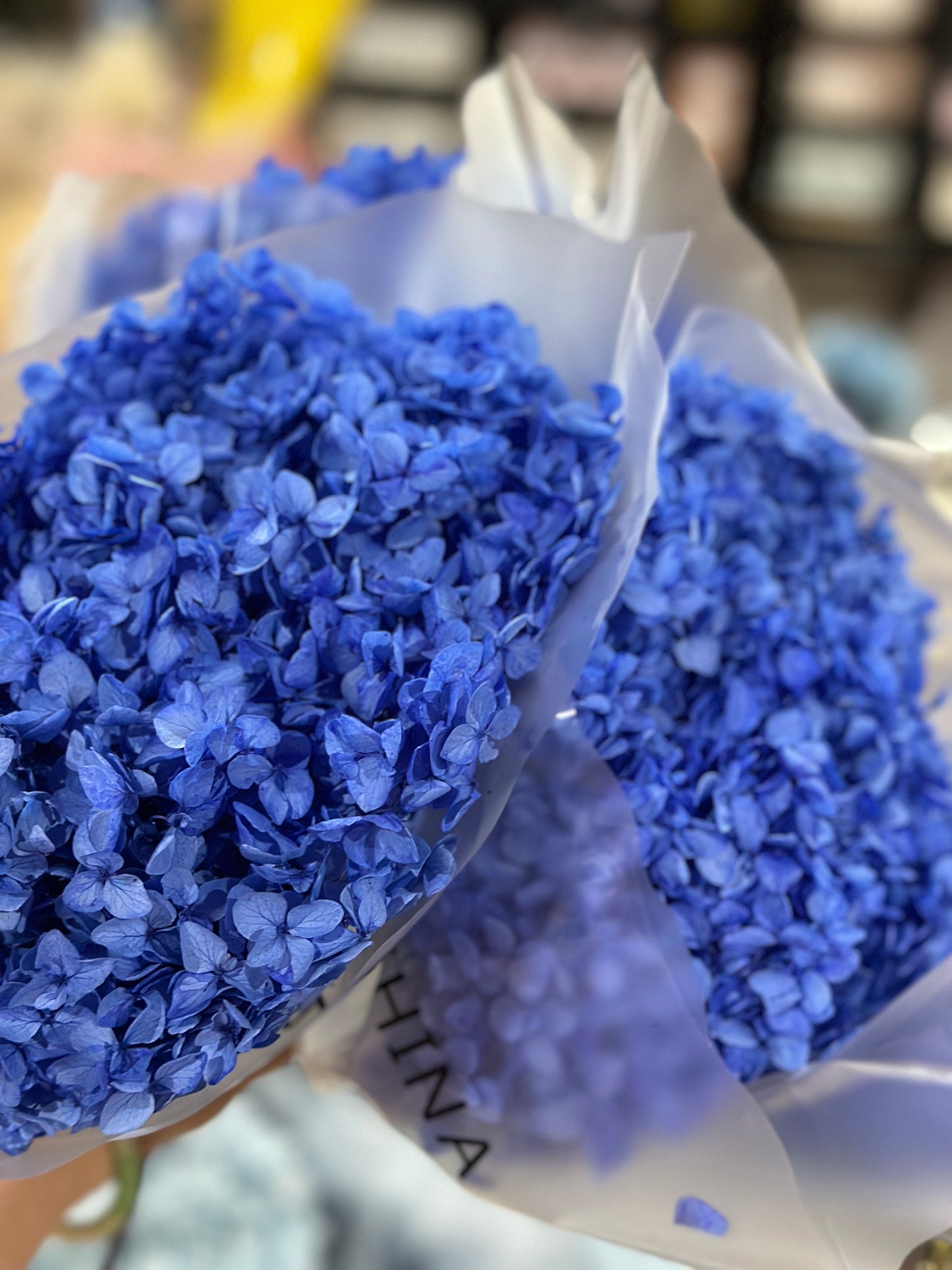 Anna Hydrangeas Big Bunch