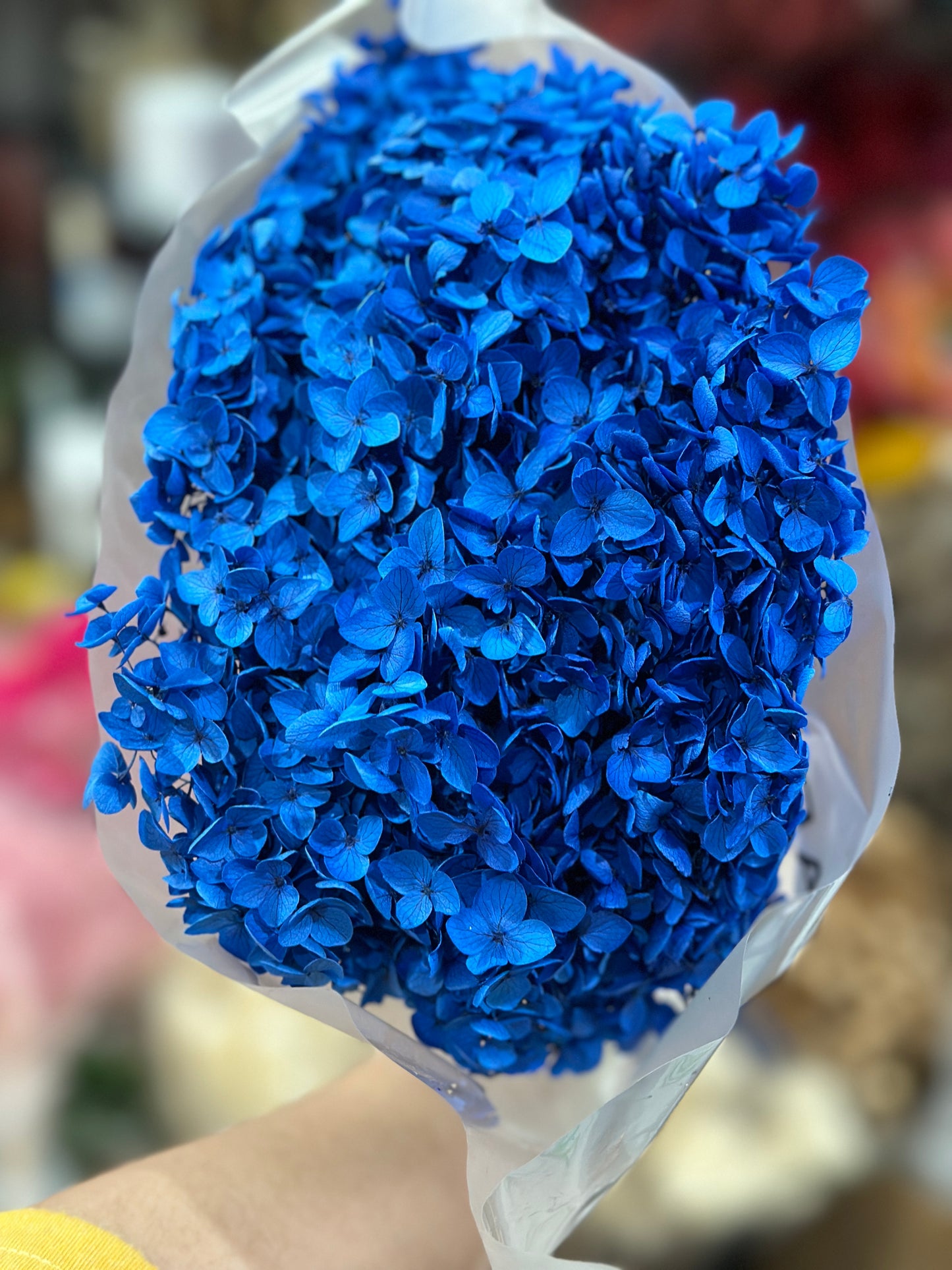 Anna Hydrangeas Big Bunch