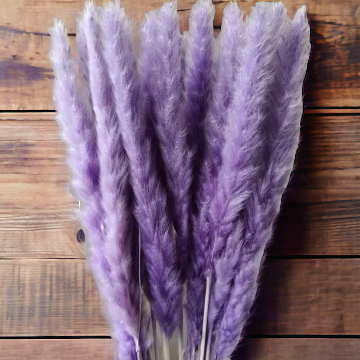 Small Pampas / Fluffy Stick