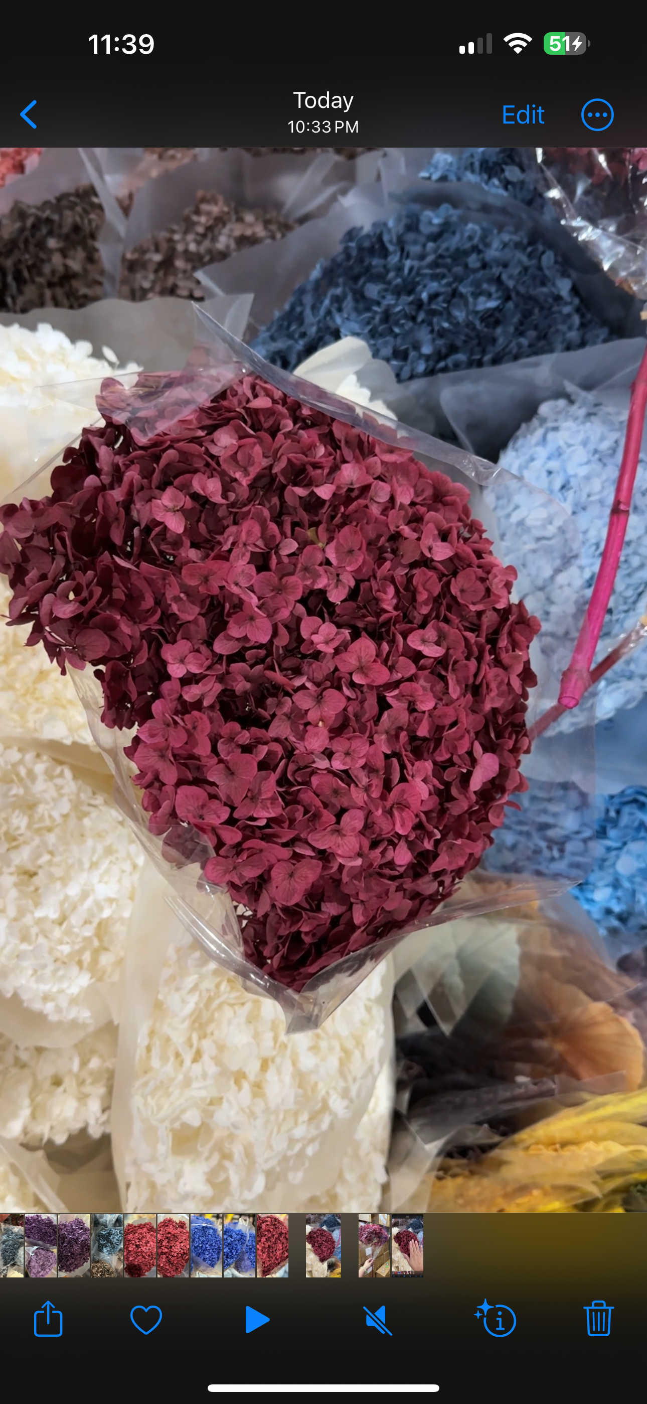 Anna Hydrangeas Big Bunch