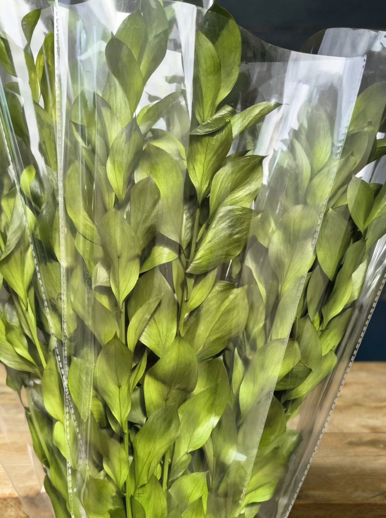 Large Ruscus Leaf/ Lily Bamboo