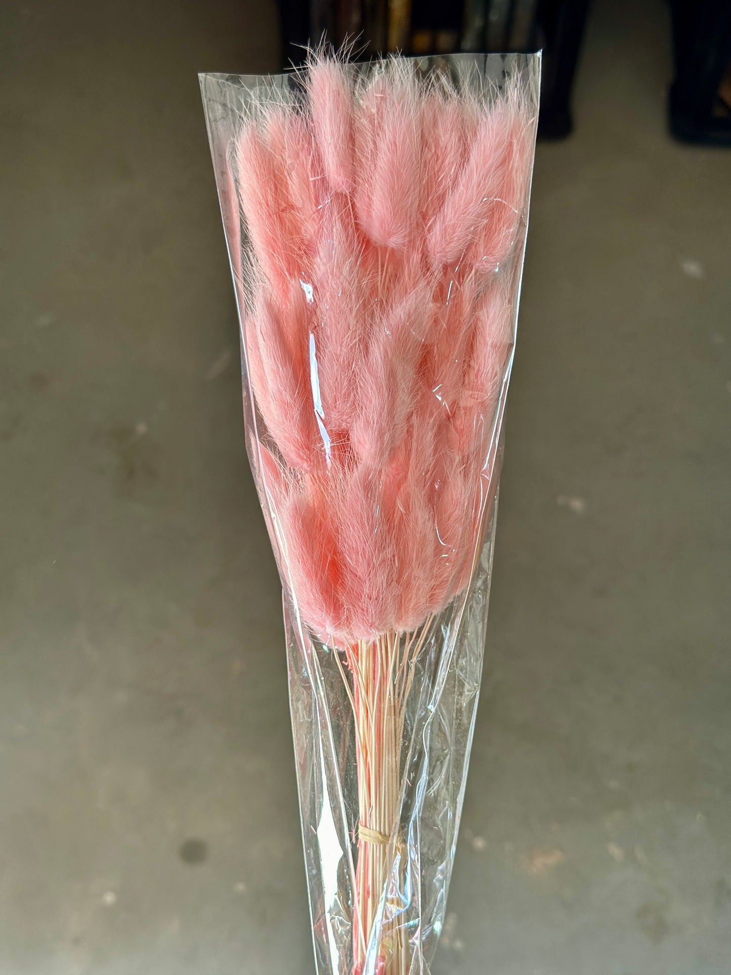 Bunny Tails