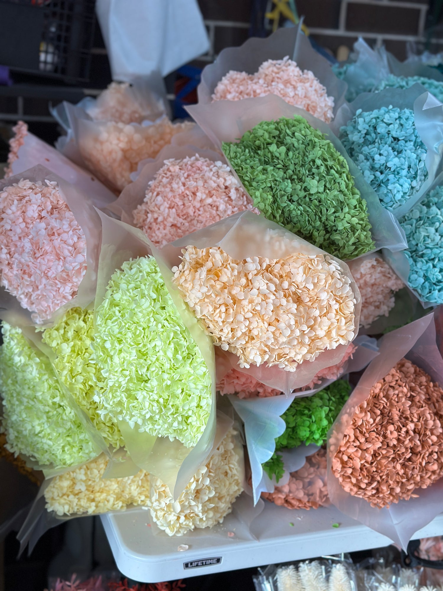 Dried and Preserved Flowers