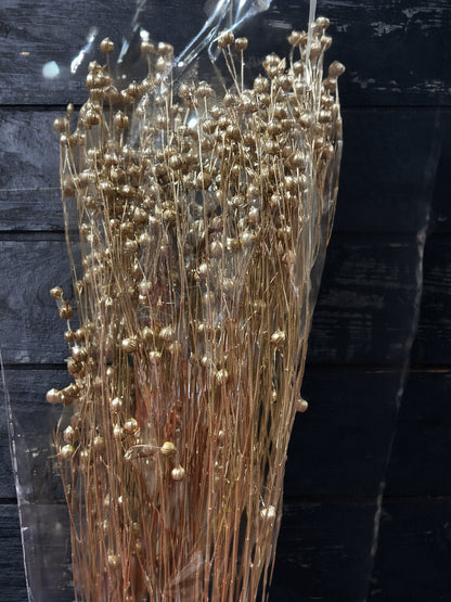 Preserved Flowers Rich Bean