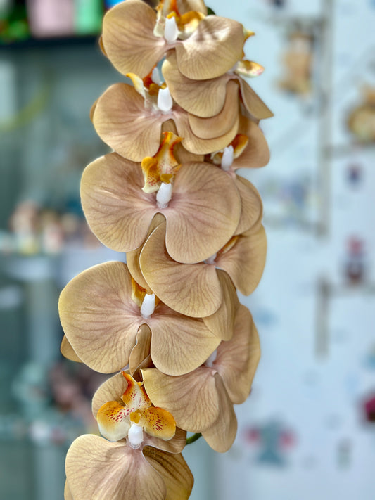 High Quality 3D Printed 9 Heads Orchids