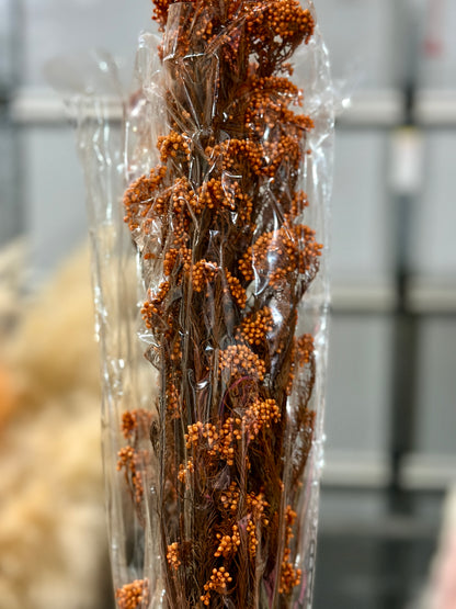 Rice Flowers