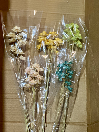 Small Bellflowers - 10 stems/Pack