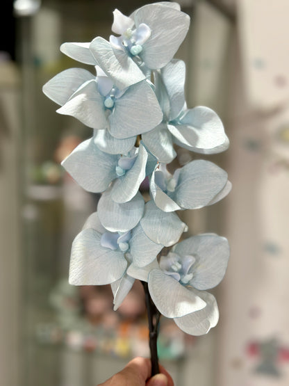 High Quality Real Touch Orchids