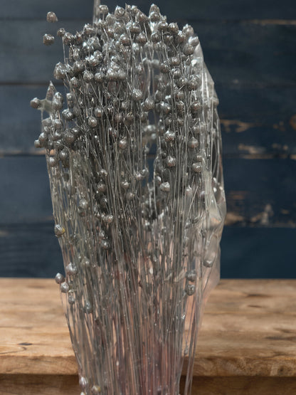 Preserved Flowers Rich Bean